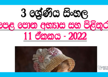 Rajathumage Otunna Grade 03 Sinhala Unit 11 | Questions And Answers