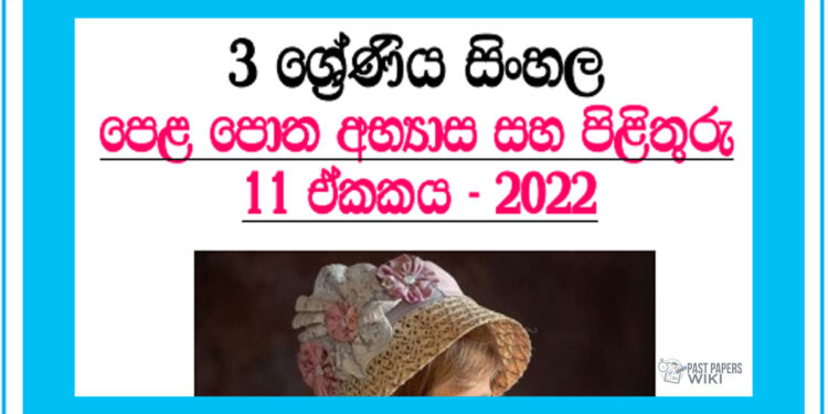 Rajathumage Otunna Grade 03 Sinhala Unit 11 | Questions And Answers