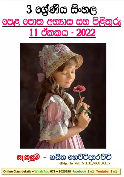 Rajathumage Otunna Grade 03 Sinhala Unit 11 | Questions And Answers