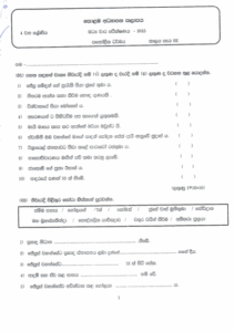 Grade 04 Catholicism 2nd Term Test Exam Paper 2015