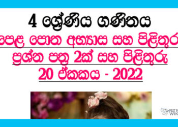 Gunakirima Grade 04 Mathematics Unit 20 | Questions Ans Answers
