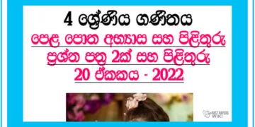 Gunakirima Grade 04 Mathematics Unit 20 | Questions Ans Answers