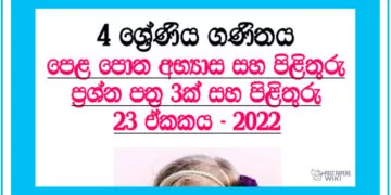 Bedima Grade 04 Mathematics Unit 23 | Questions Ans Answers