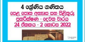 Revision (II) Grade 04 Mathematics Unit 24 | Questions Ans Answers