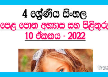 Sawanige Dinapothin Grade 04 Sinhala Unit 10 | Questions And Answers