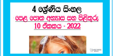 Sawanige Dinapothin Grade 04 Sinhala Unit 10 | Questions And Answers