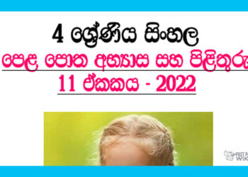 Tin Tin Ganna Thora Ewanne Grade 04 Sinhala Unit 11 | Questions And Answers
