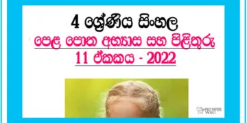 Tin Tin Ganna Thora Ewanne Grade 04 Sinhala Unit 11 | Questions And Answers