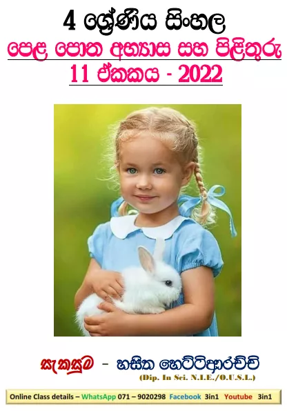 Tin Tin Ganna Thora Ewanne Grade 04 Sinhala Unit 11 | Questions And Answers