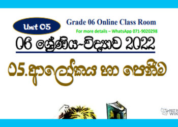 Grade 06 Science Unit 04 | Alokaya