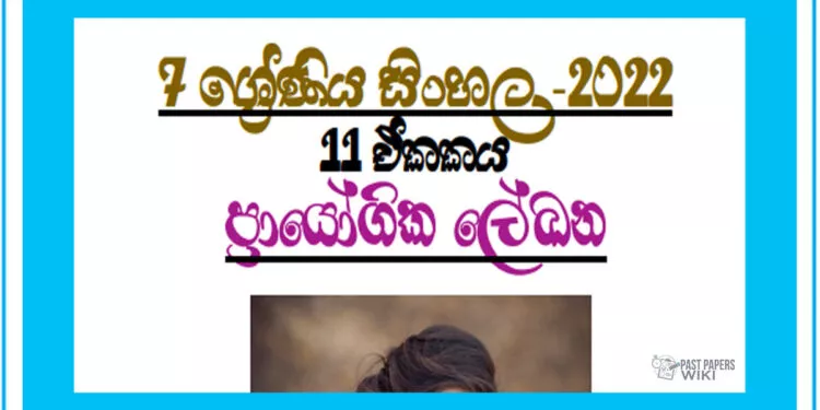 Grade 07 Sinhala Unit 11 | Prayogika Lekana