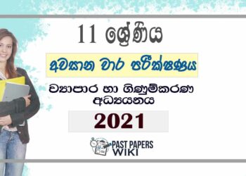 Uva Province Grade 11 Accounting 3rd Term Test Paper 2021 - Sinhala Medium