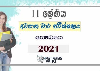 Uva Province Grade 11 Health 3rd Term Test Paper 2021 - Sinhala Mediumv