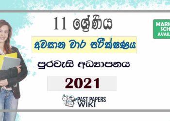 Uva Province Grade 11 Civics Education 3rd Term Test Paper 2021 - Sinhala Medium