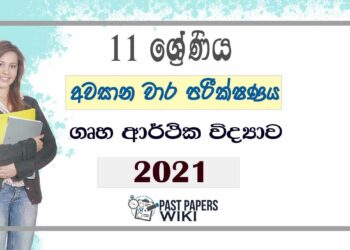 Uva Province Grade 11 Home Economics 3rd Term Test Paper 2021 - Sinhala Medium