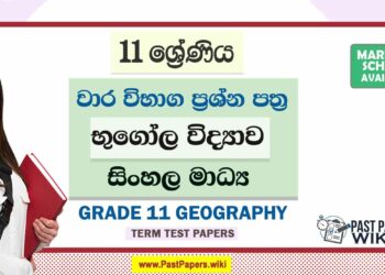 Grade 11 Geography Term Test Papers | Sinhala Medium