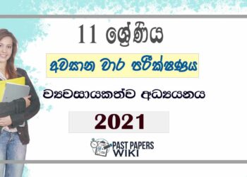 Uva Province Grade 11 Entrepreneurship Studies 3rd Term Test Paper 2021 - Sinhala Medium