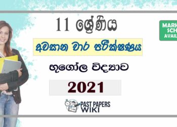 Uva Province Grade 11 Geography 3rd Term Test Paper 2021 - Sinhala Medium
