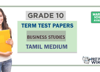 Grade 10 Business Studies Term Test Papers | Tamil Medium
