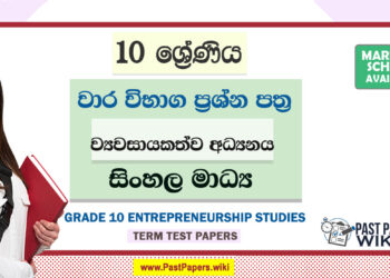 Grade 10 Entrepreneurship Studies Term Test Papers | Sinhala Medium