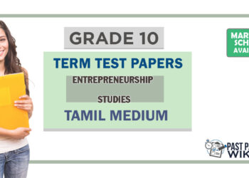Grade 10 Entrepreneurship Studies Term Test Papers | Tamil Medium