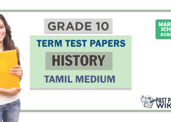 Grade 10 History Term Test Papers | Tamil Medium