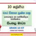 Grade 10 ICT Term Test Papers | Sinhala Medium
