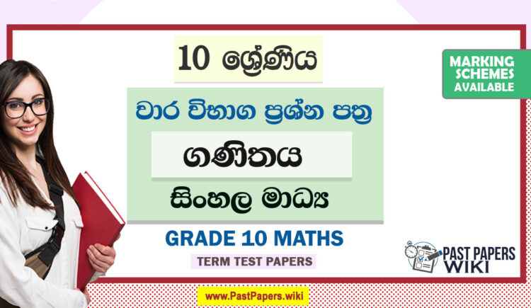 Grade 10 Maths Term Test Papers | English Medium