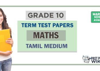 Grade 10 Maths Term Test Papers | Tamil Medium