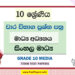 Grade 10 Media Term Test Papers | Sinhala Medium