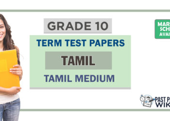 Grade 10 Tamil Term Test Papers