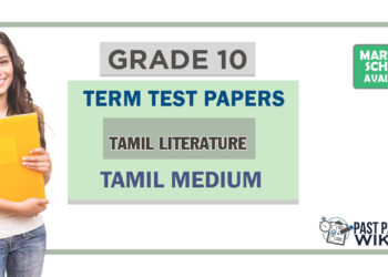 Grade 10 Tamil Literature Term Test Papers