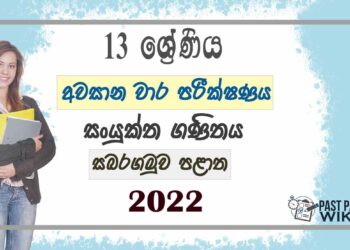 Sabaragamuwa Province Combined Maths 3rd Term Test paper 2022 - Grade 13