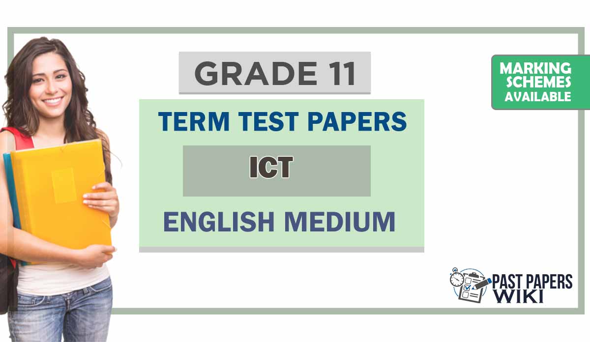 Grade 11 ICT Term Test Papers | English Medium