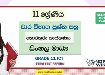 Grade 11 ICT Term Test Papers | Sinhala Medium