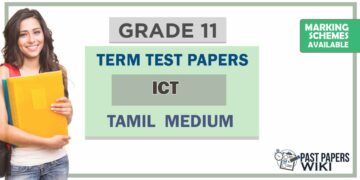 Grade 11 ICT Term Test Papers | Tamil Medium