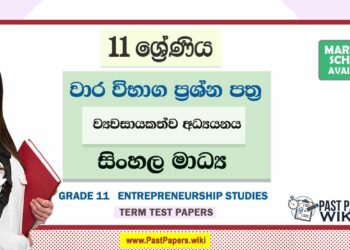 Grade 11 Entrepreneurship Studies Term Test Papers | Sinhala Medium