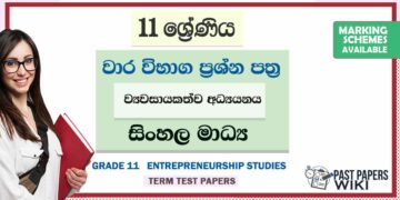 Grade 11 Entrepreneurship Studies Term Test Papers | Sinhala Medium