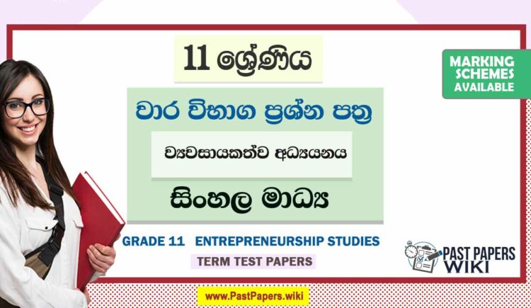 Grade 11 Entrepreneurship Studies Term Test Papers | Sinhala Medium