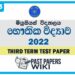 Musaeus College Physics 3rd Term Test paper 2022 - Grade 13