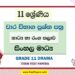 Grade 11 Drama Term Test Papers | Sinhala Medium