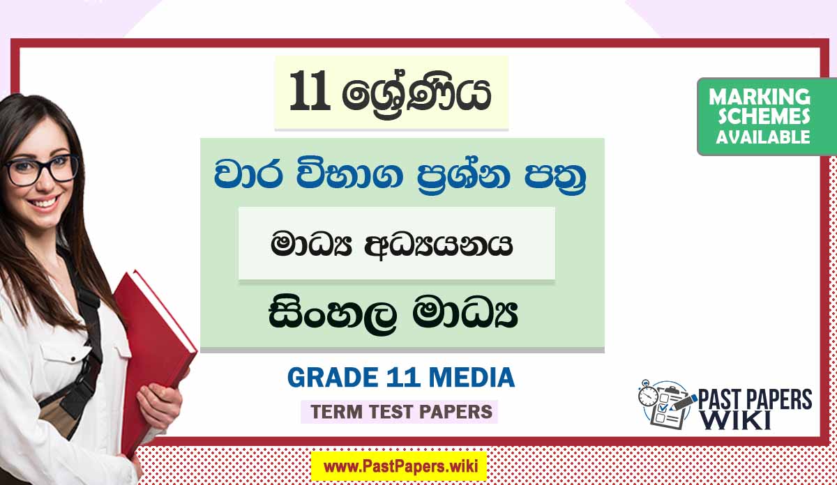 Grade 11 Media Term Test Papers | Sinhala Medium
