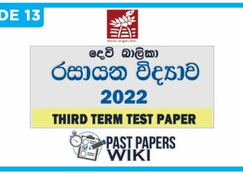 Devi Balika VIdyalaya Chemistry 3rd Term Test paper 2022 - Grade 13