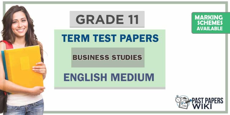 Grade 11 Business Studies Term Test Papers | English Medium
