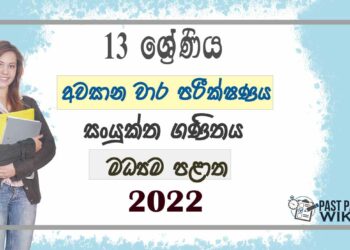 Central Province Combined Maths 3rd Term Test paper 2022 - Grade 13