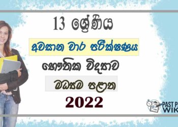 Central Province Physics 3rd Term Test paper 2022 - Grade 13