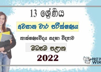 Central Province SFT 3rd Term Test paper 2022 - Grade 13