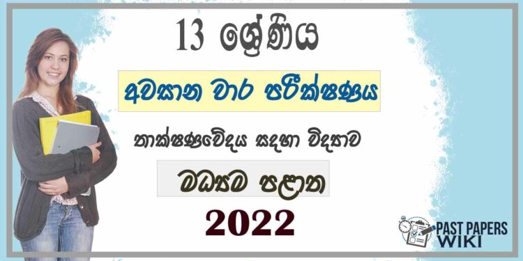 Central Province SFT 3rd Term Test paper 2022 - Grade 13