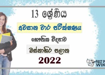 Western Province Physics 3rd Term Test paper 2022 - Grade 13