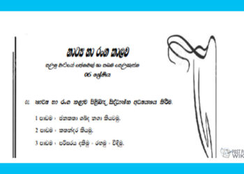 Grade 06 Drama Short Note in Sinhala(1st Term)
